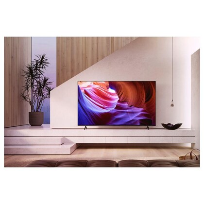 SONY 55 inch TV